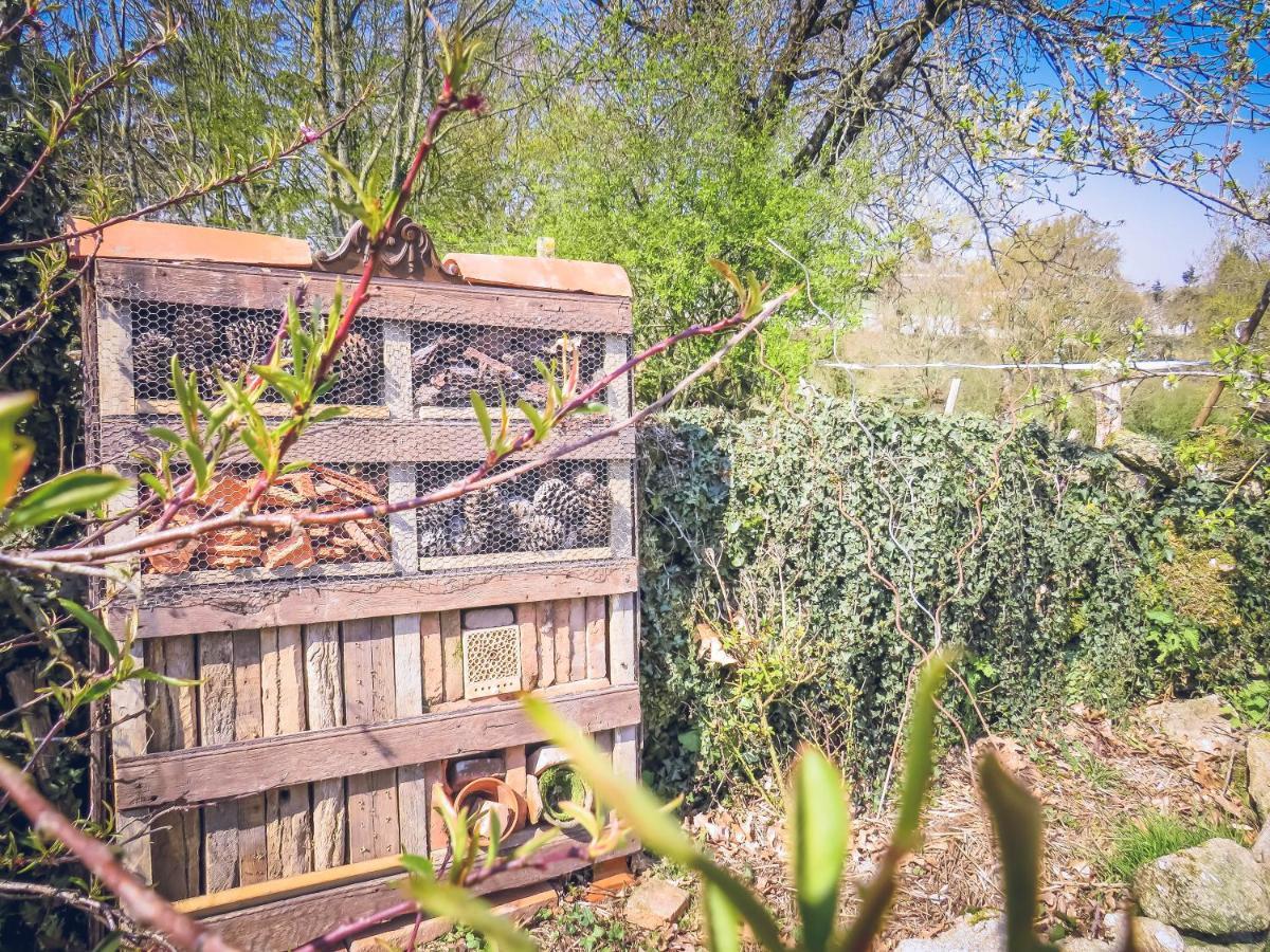 Appartamento Domaine des fées La Gaubretiere Esterno foto